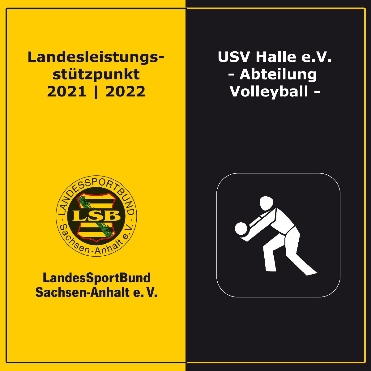 icon beachvolleyball schwarz auf weiss 50mm rgb 300dpi